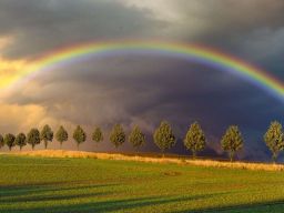 Citation Arc en Ciel Citation Arc en Ciel