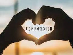 Citation Compassion Citation Compassion