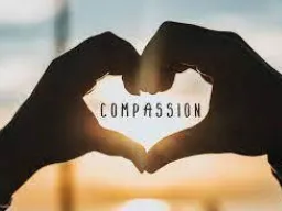 Citation Compassion Citation Compassion