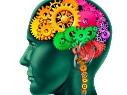 Citation Connaissance