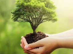 Citation Écologie Citation Écologie