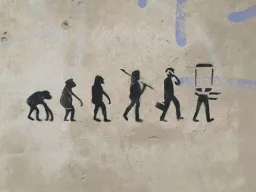 Citation Évolution Citation Évolution