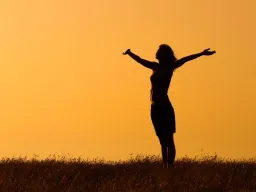 Citation Gratitude Citation Gratitude