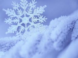 Citation Neige Citation Neige