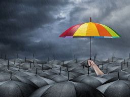 Citation Optimisme Citation Optimisme