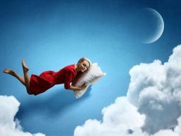 Citation Reve Citation Reve