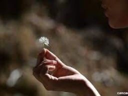 Citation Sensibilité