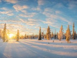 Citation sur L'Hiver Citation sur L'Hiver