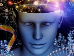 Citation sur la Conscience