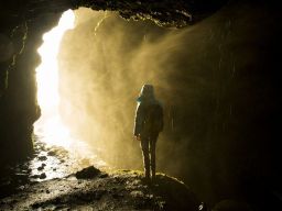 Citation sur la Vérité