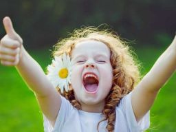 Citation sur le Bonheur Citation sur le Bonheur