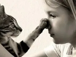 Citation Tendresse Citation Tendresse