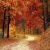 Citation Automne