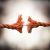 Citation Rupture