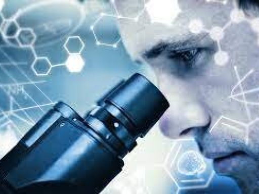 Citation Découvertes