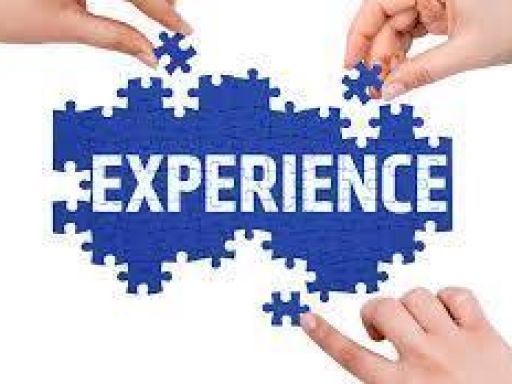 Citation Expérience