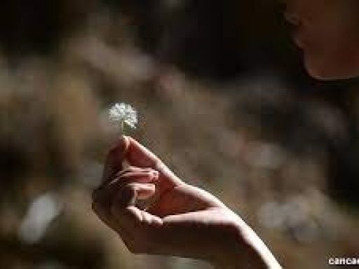 Citation Sensibilité