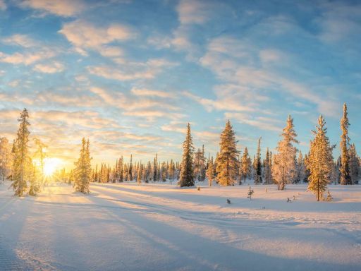 Citation sur L'Hiver