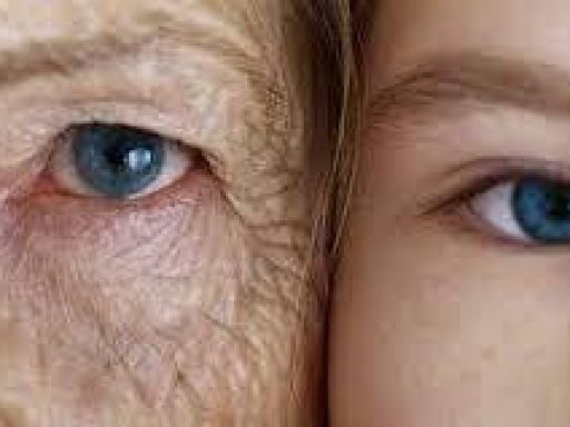 Citation Vieillissement