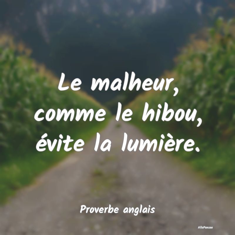 Le malheur, comme le hibou, évite la lumière....