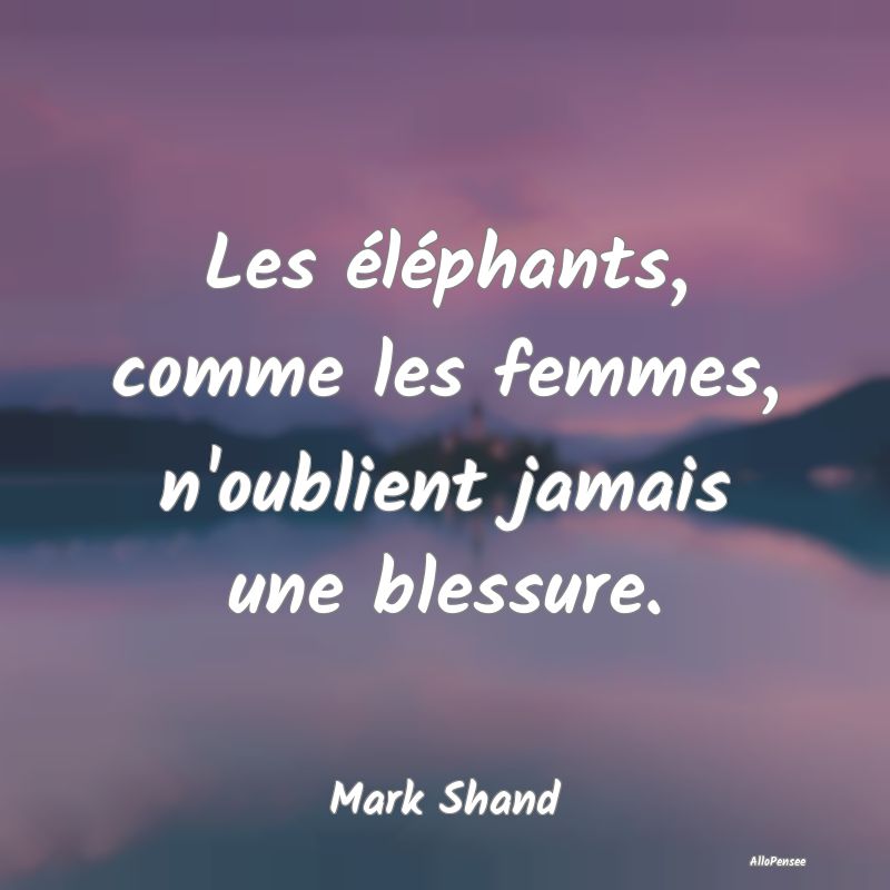 Les éléphants, comme les femmes, n'oublient jama...