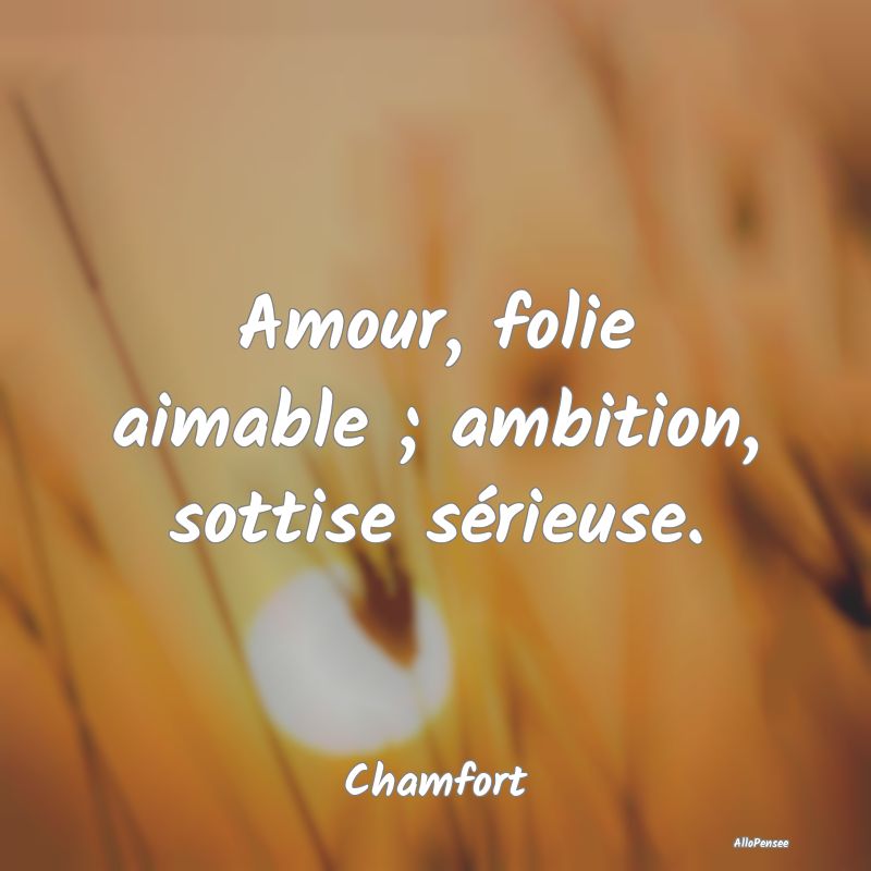 Amour, folie aimable ; ambition, sottise sérieuse...