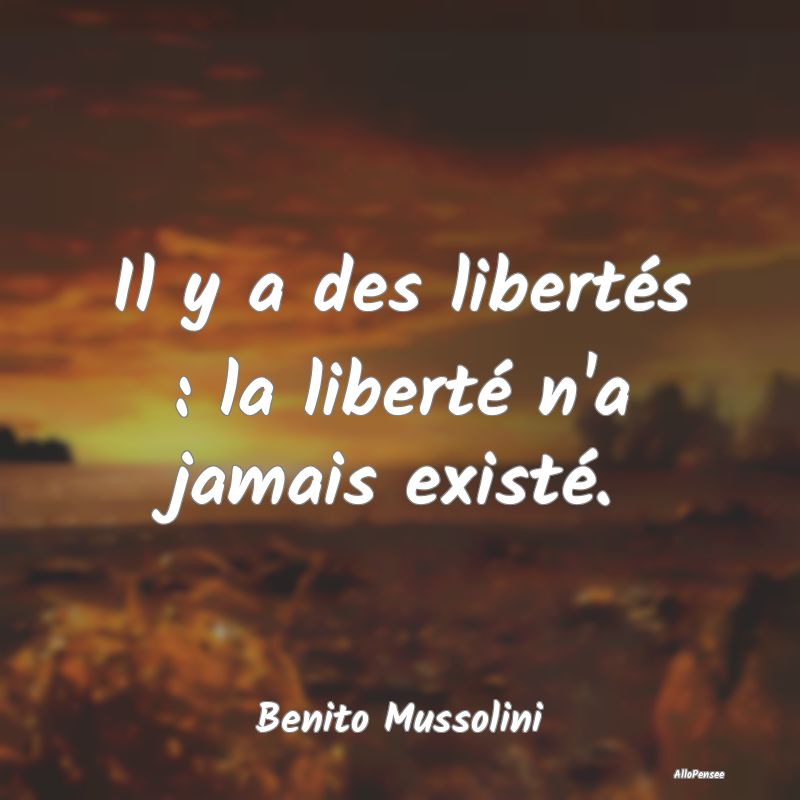 Il y a des libertés : la liberté n'a jamais exis...