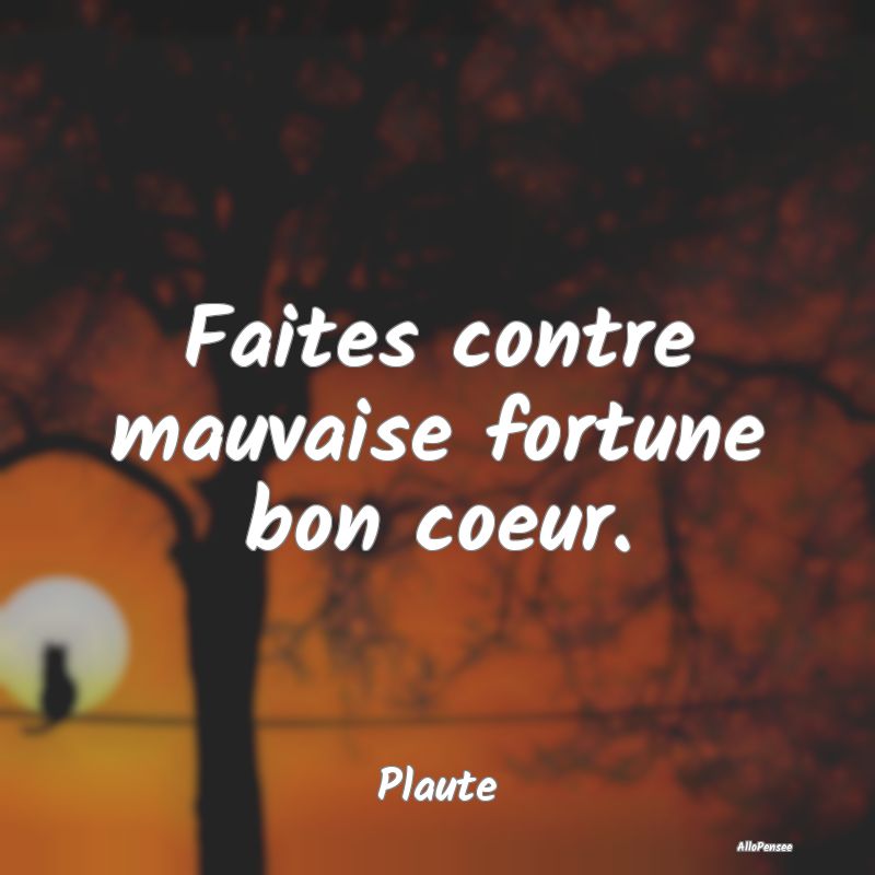 Faites contre mauvaise fortune bon coeur....