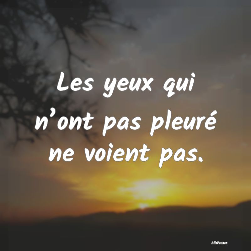 Les yeux qui n’ont pas pleuré ne voient pas....