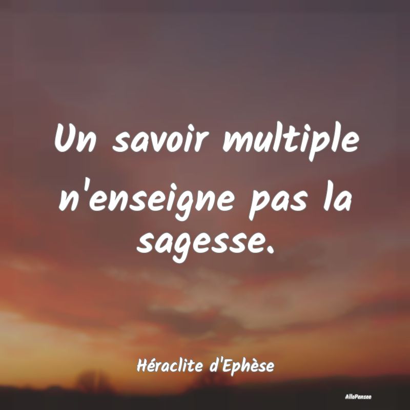 Un savoir multiple n'enseigne pas la sagesse....