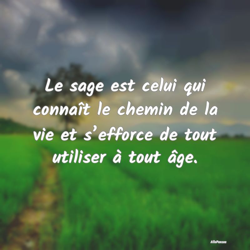 Le sage est celui qui connaît le chemin de la vie...