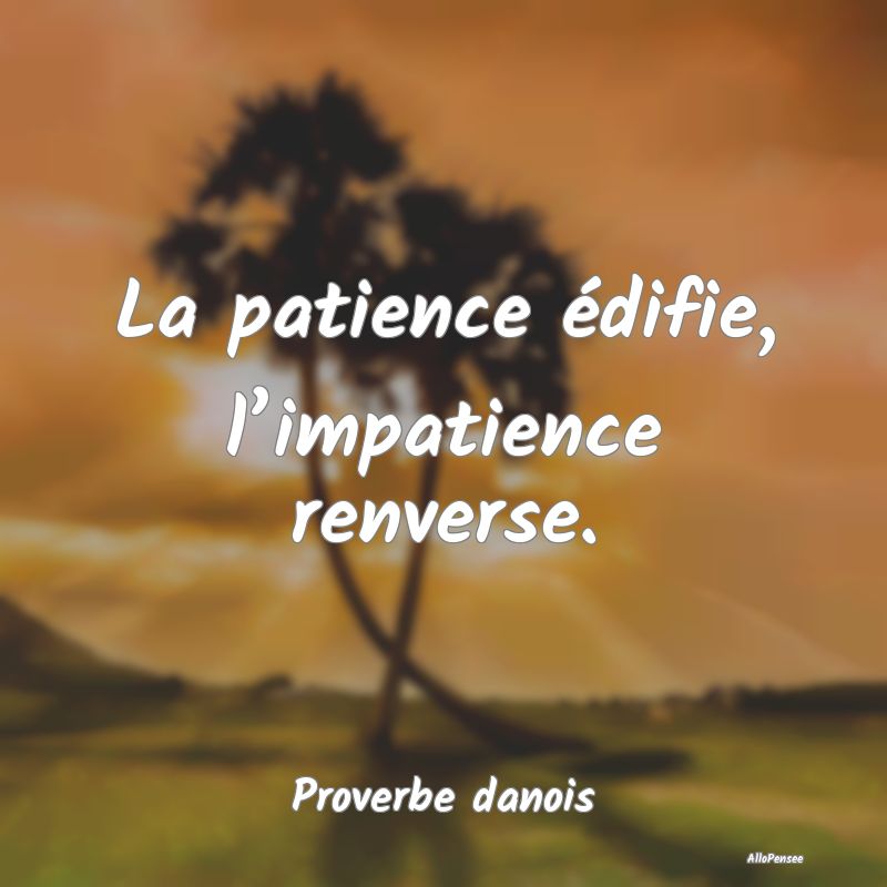 La patience édifie, l’impatience renverse....