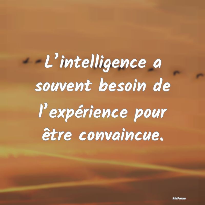 L’intelligence a souvent besoin de l’expérien...