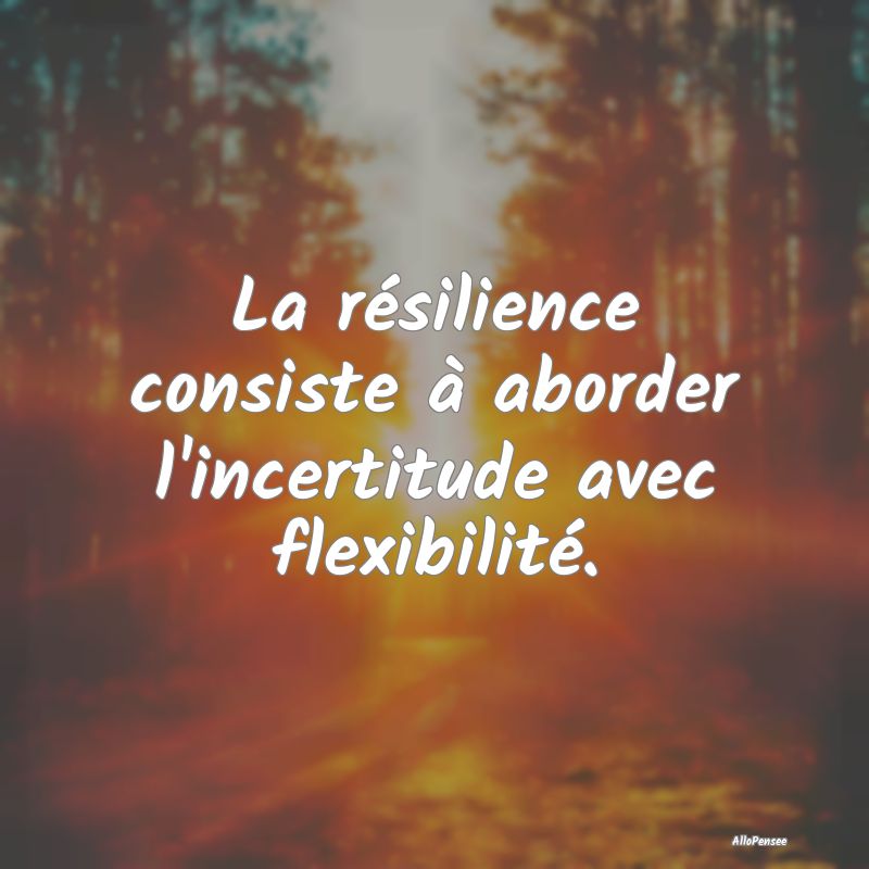 La résilience consiste à aborder l'incertitude a...