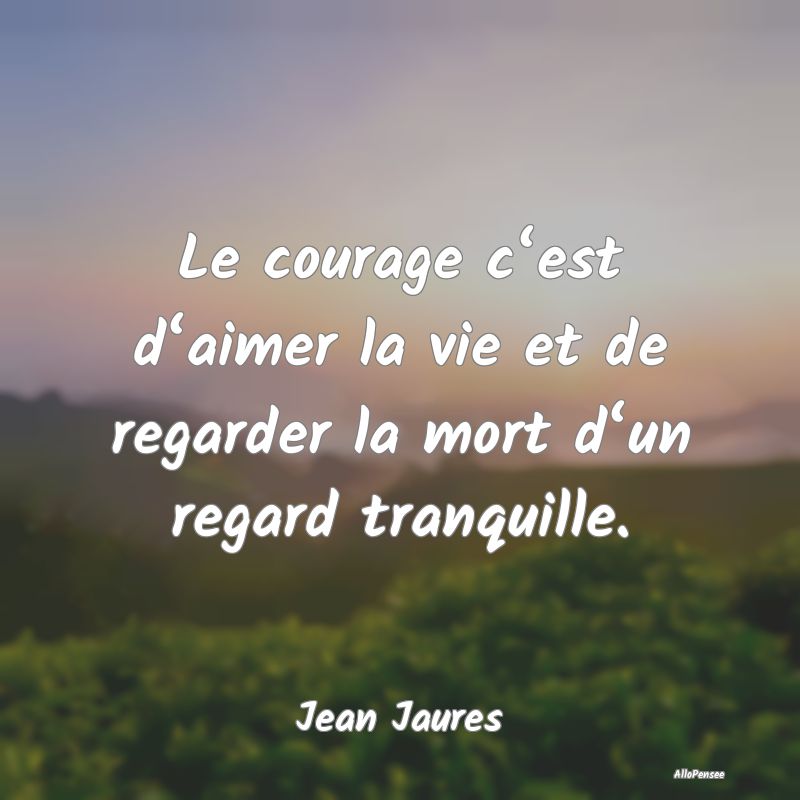 Citation Deuil - Le courage c‘est d‘aimer la vie et de regarder...