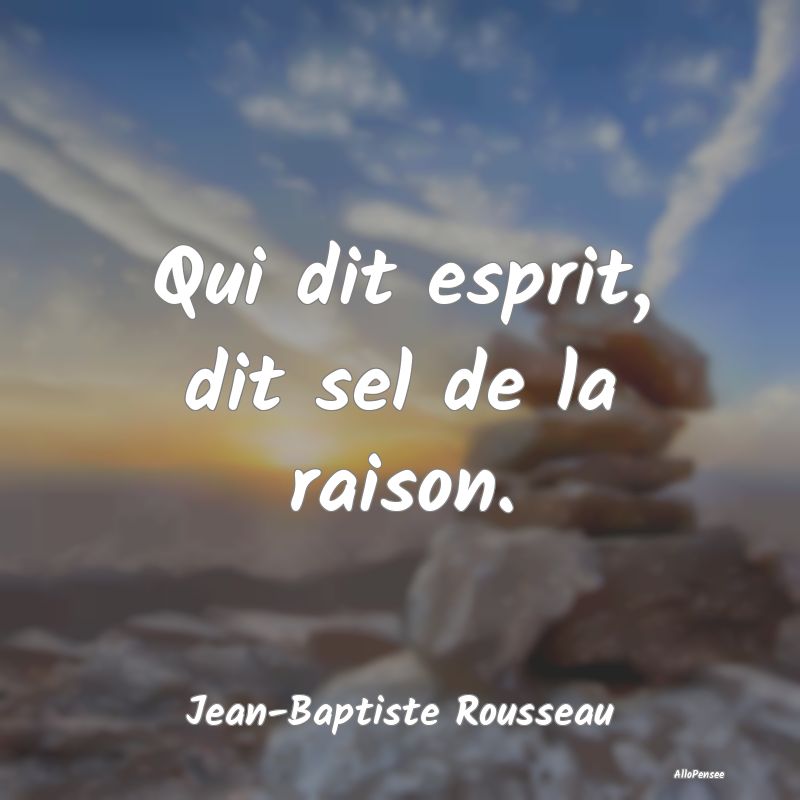 Citation Raison - Qui dit esprit, dit sel de la raison....
