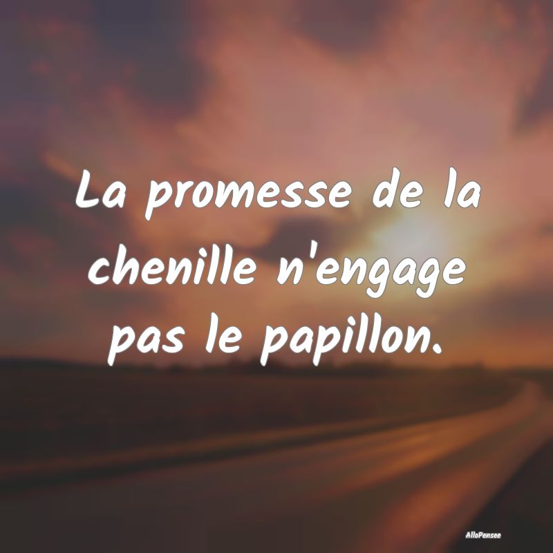 La promesse de la chenille n'engage pas le papillo...