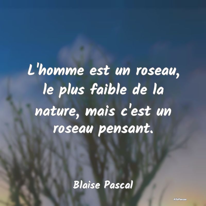 L'homme est un roseau, le plus faible de la nature...