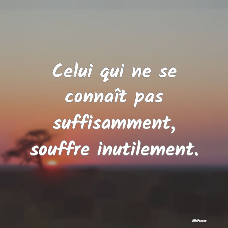 Celui qui ne se connaît pas suffisamment, souffre...