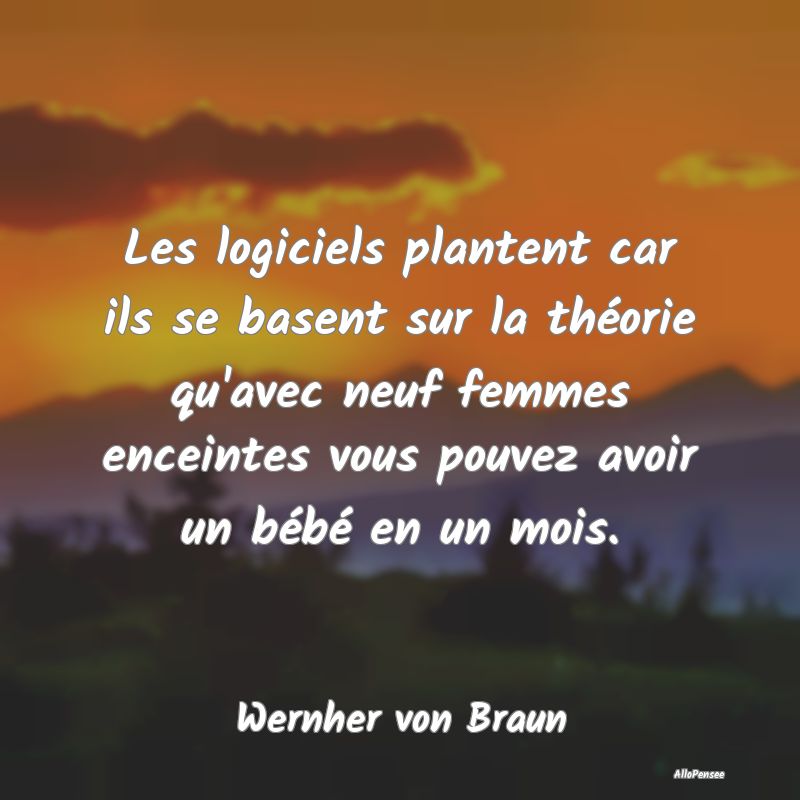 Les logiciels plantent car ils se basent sur la th...