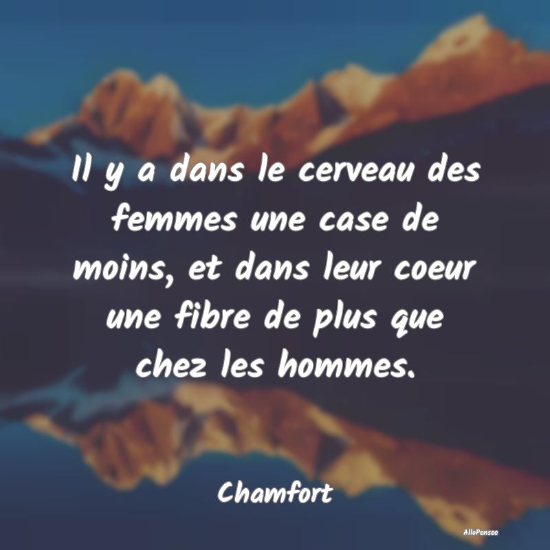 Il y a dans le cerveau des femmes une case de moin...