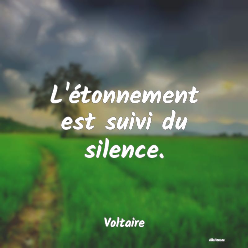 Citation Silence - L'étonnement est suivi du silence....