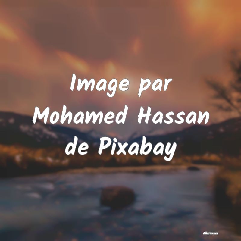 Image par Mohamed Hassan de Pixabay
...