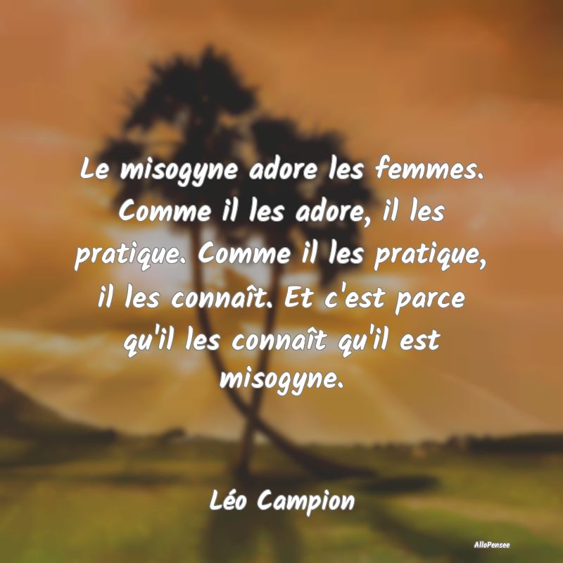 Le misogyne adore les femmes. Comme il les adore, ...