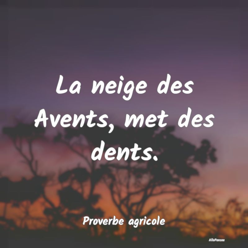 La neige des Avents, met des dents....