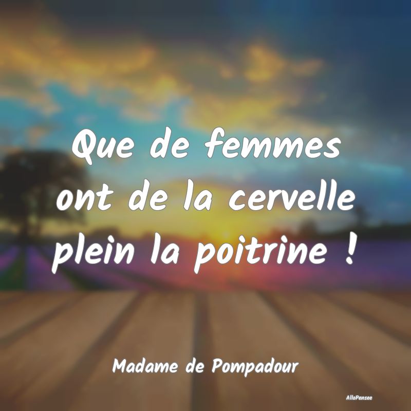 Citation sur les Femmes - Que de femmes ont de la cervelle plein la poitrine...