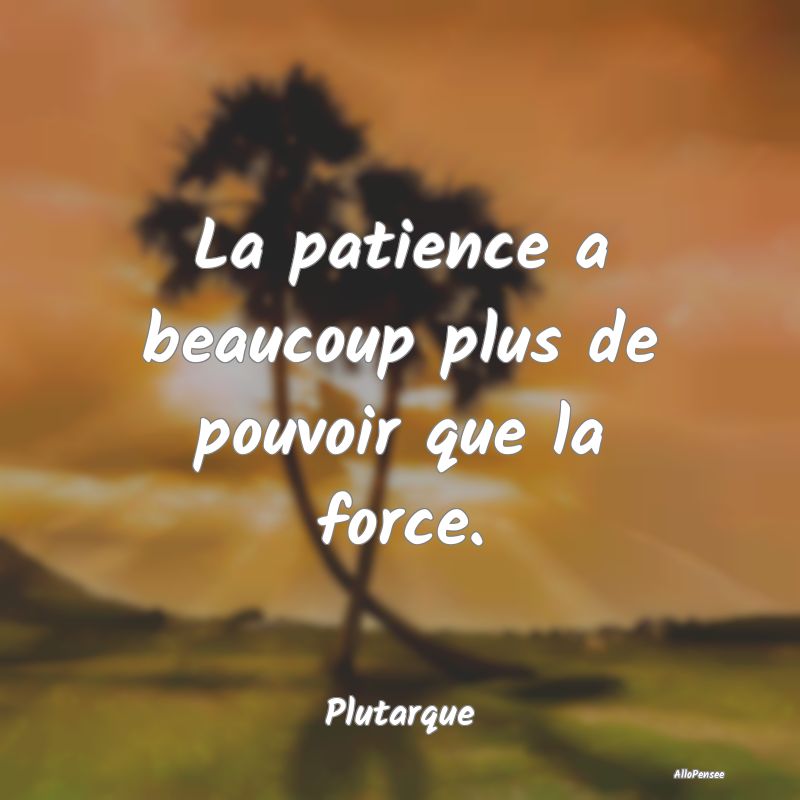 La patience a beaucoup plus de pouvoir que la forc...