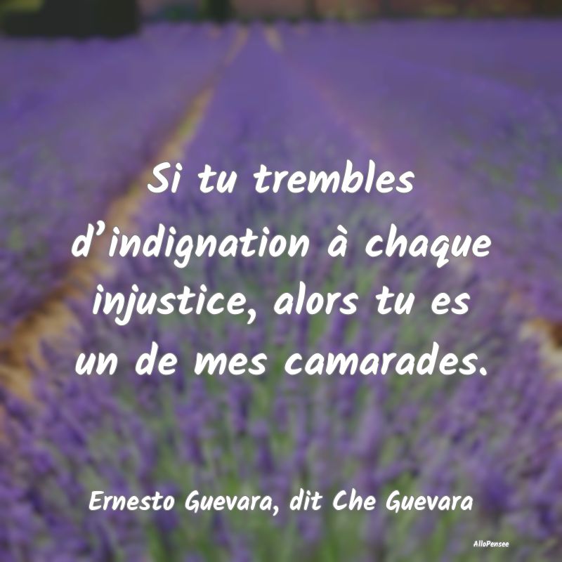 Citation Injustice - Si tu trembles d’indignation à chaque injustice...