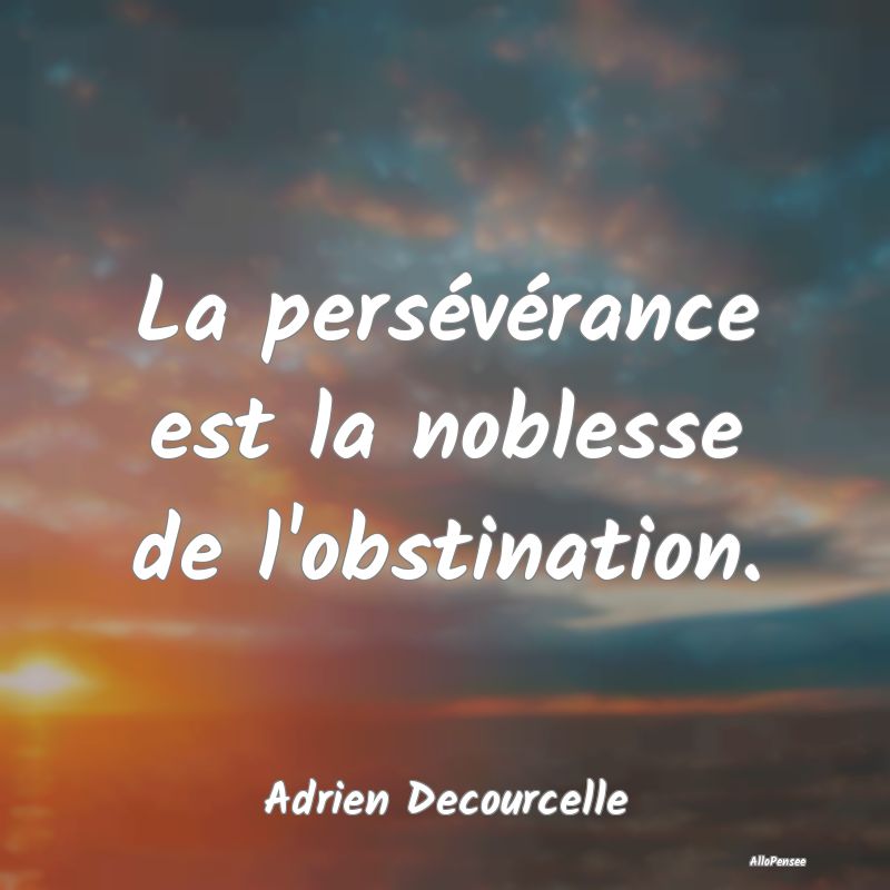La persévérance est la noblesse de l'obstination...