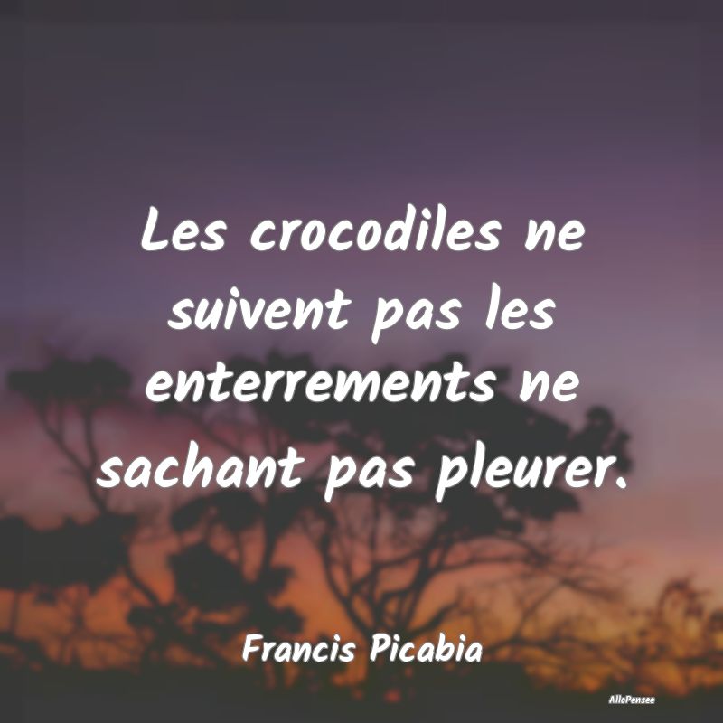 Les crocodiles ne suivent pas les enterrements ne ...